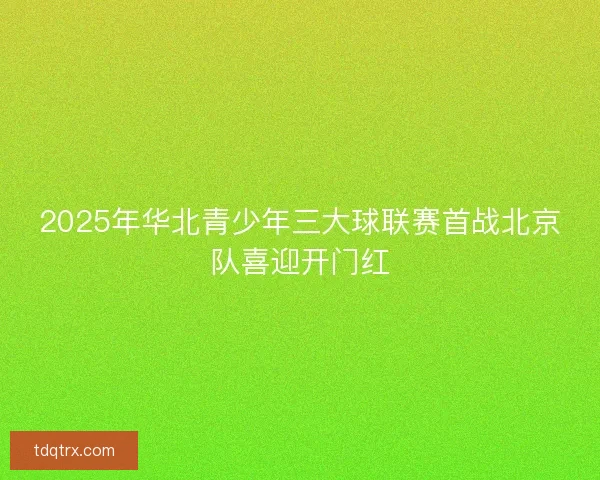 2025年华北青少年三大球联赛首战北京队喜迎开门红